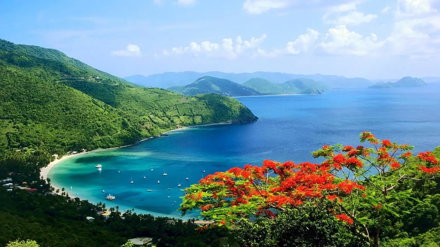 高端高性能高效